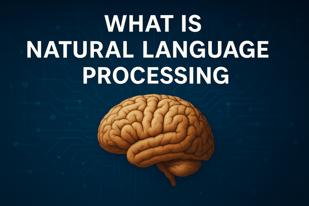 What is Natural Language Processing