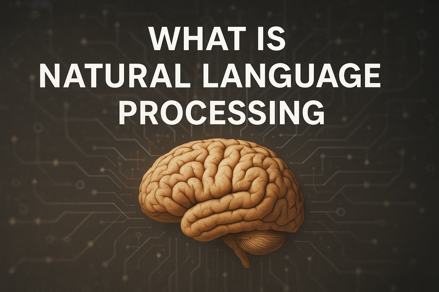 What is Natural Language Processing