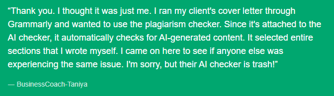 Grammarly AI Detector Review image2 81